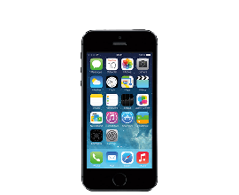 iPhone 5s Replacement Parts