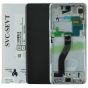 Samsung G998 S21 Ultra LCD & Touch Screen - Phantom Silver GH82-26035B